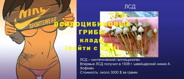 прущие грибы Армянск