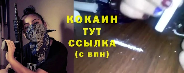 соль ск Арсеньев