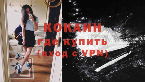 прущие грибы Армянск