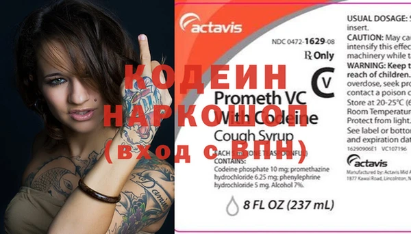 прущие грибы Армянск