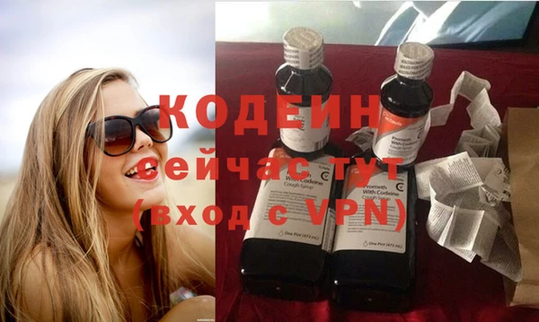 прущие грибы Армянск